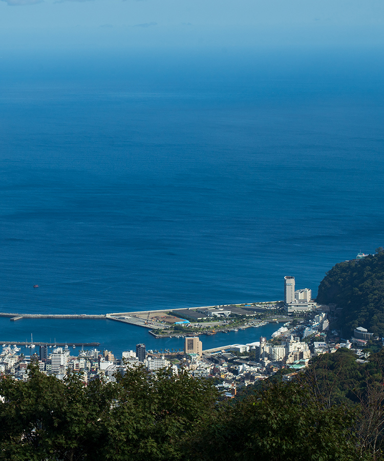 地域